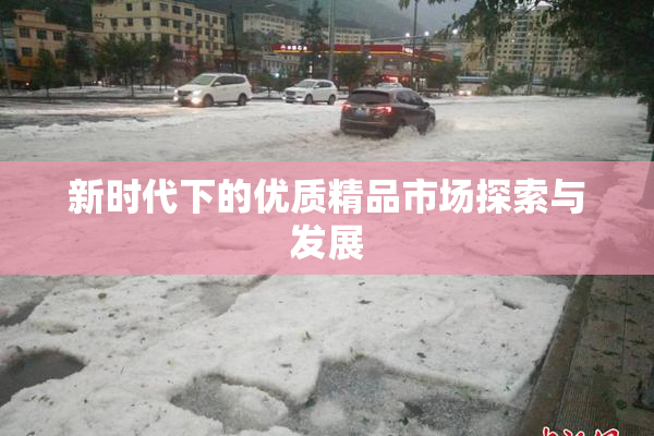 新时代下的优质精品市场探索与发展