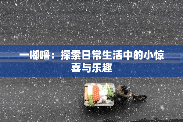 一嘟噜：探索日常生活中的小惊喜与乐趣