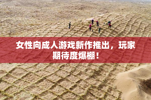 女性向成人游戏新作推出，玩家期待度爆棚！