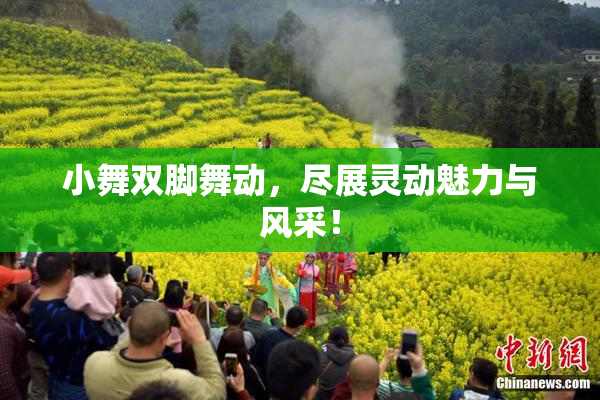 小舞双脚舞动，尽展灵动魅力与风采！