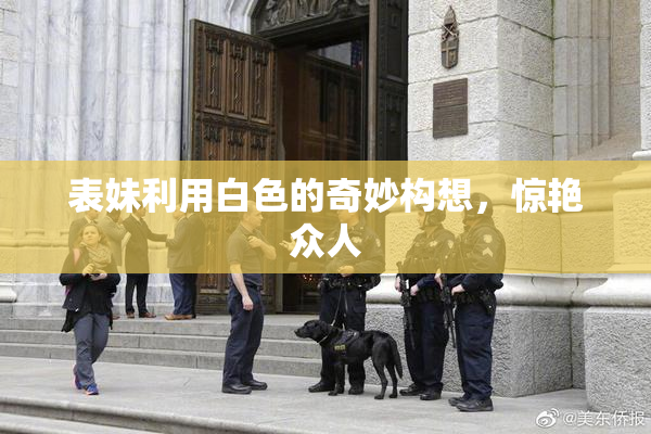 表妹利用白色的奇妙构想，惊艳众人