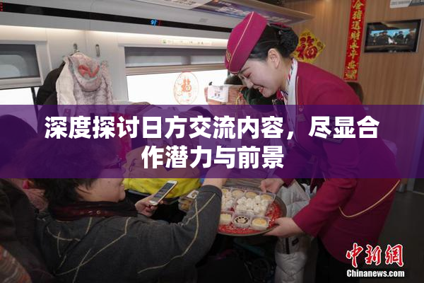 深度探讨日方交流内容，尽显合作潜力与前景
