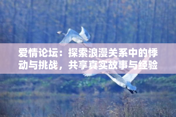 爱情论坛：探索浪漫关系中的悸动与挑战，共享真实故事与经验