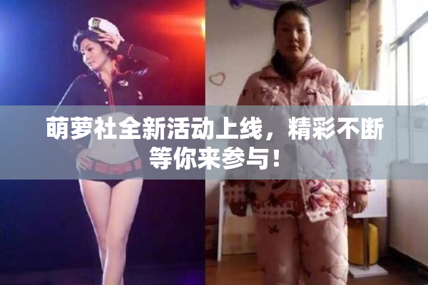 萌萝社全新活动上线，精彩不断等你来参与！