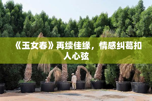 《玉女春》再续佳缘，情感纠葛扣人心弦