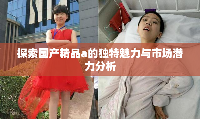 探索国产精品a的独特魅力与市场潜力分析