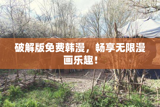 破解版免费韩漫，畅享无限漫画乐趣！