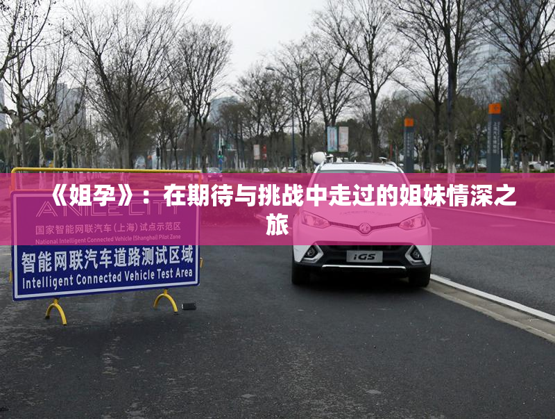《姐孕》：在期待与挑战中走过的姐妹情深之旅