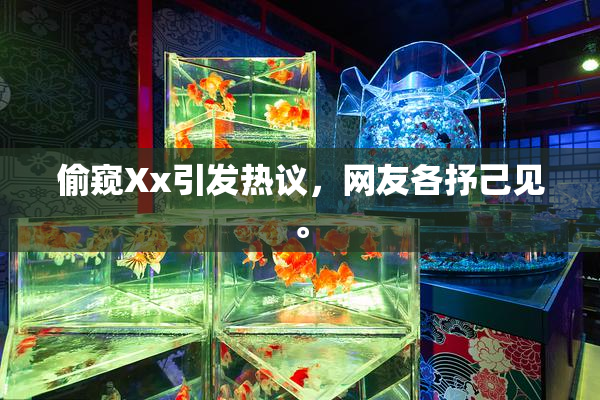 偷窥Xx引发热议，网友各抒己见。