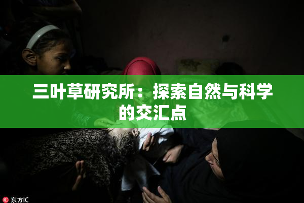 三叶草研究所：探索自然与科学的交汇点
