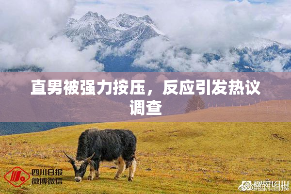 直男被强力按压，反应引发热议调查