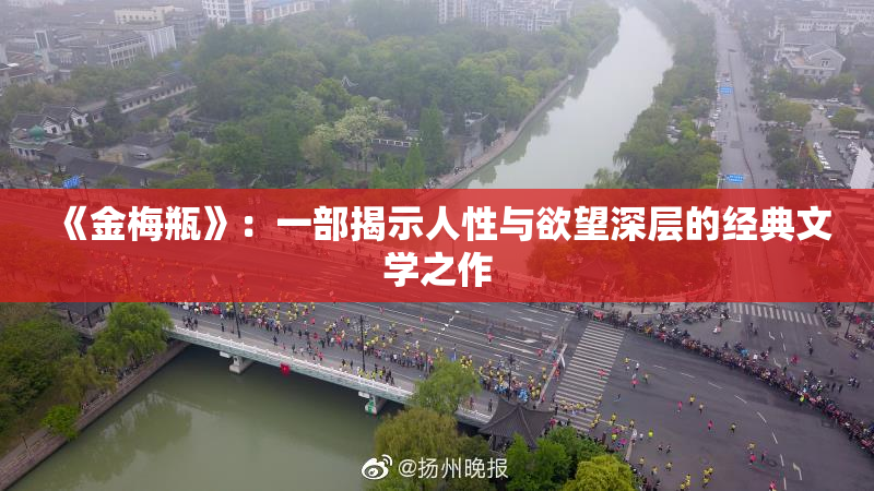 《金梅瓶》：一部揭示人性与欲望深层的经典文学之作