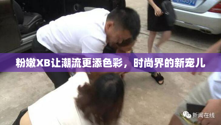 粉嫩XB让潮流更添色彩，时尚界的新宠儿