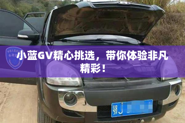 小蓝GV精心挑选，带你体验非凡精彩！