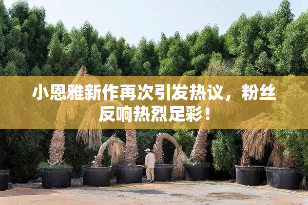 小恩雅新作再次引发热议，粉丝反响热烈足彩！