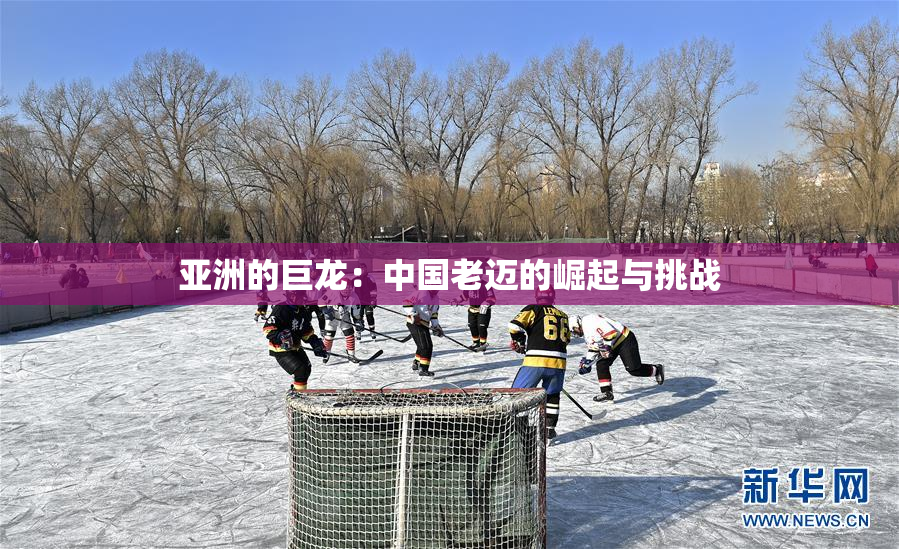 亚洲的巨龙：中国老迈的崛起与挑战