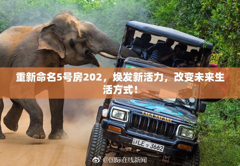 重新命名5号房202，焕发新活力，改变未来生活方式！