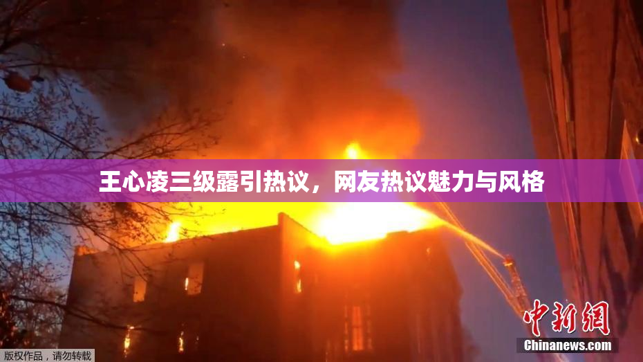 王心凌三级露引热议，网友热议魅力与风格