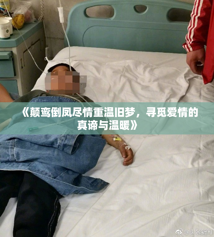 《颠鸾倒凤尽情重温旧梦，寻觅爱情的真谛与温暖》