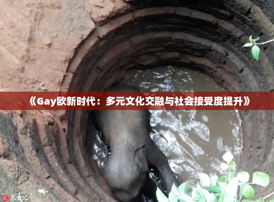 《Gay欧新时代：多元文化交融与社会接受度提升》