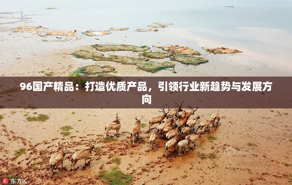 96国产精品：打造优质产品，引领行业新趋势与发展方向