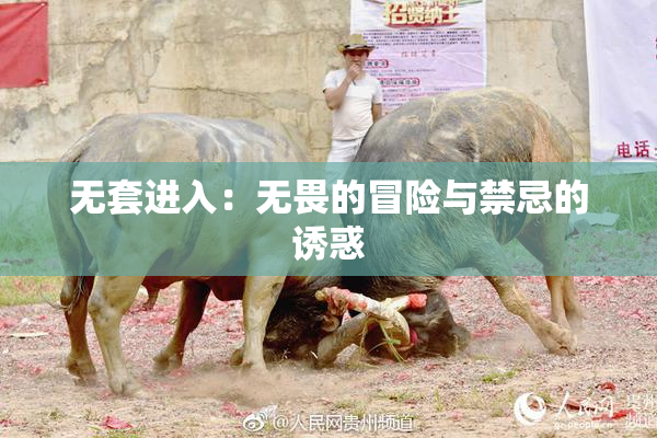 无套进入：无畏的冒险与禁忌的诱惑