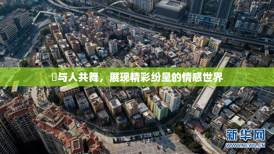 嘼与人共舞，展现精彩纷呈的情感世界