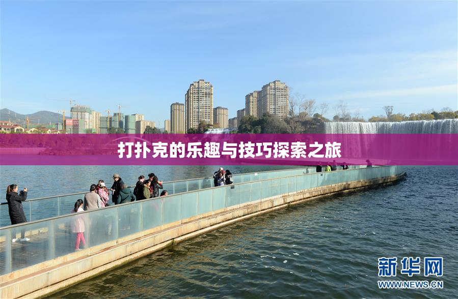 打扑克的乐趣与技巧探索之旅