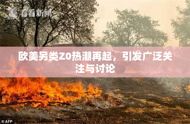 欧美另类Z0热潮再起，引发广泛关注与讨论
