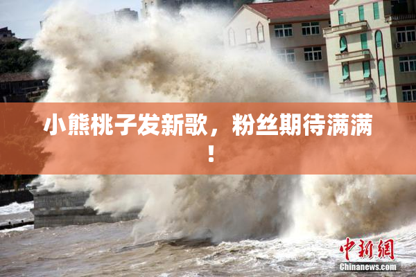 小熊桃子发新歌，粉丝期待满满！