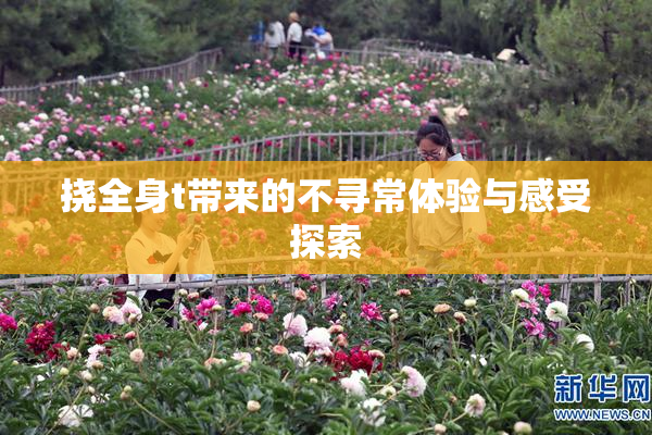 挠全身t带来的不寻常体验与感受探索