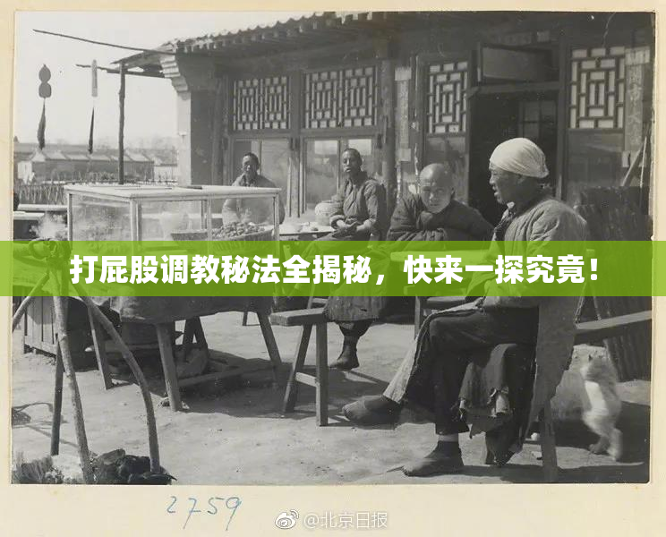 打屁股调教秘法全揭秘，快来一探究竟！
