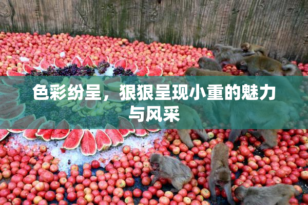 色彩纷呈，狠狠呈现小重的魅力与风采