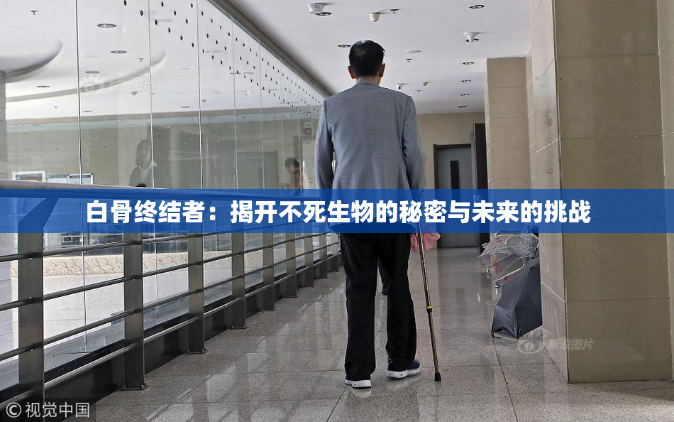 白骨终结者：揭开不死生物的秘密与未来的挑战