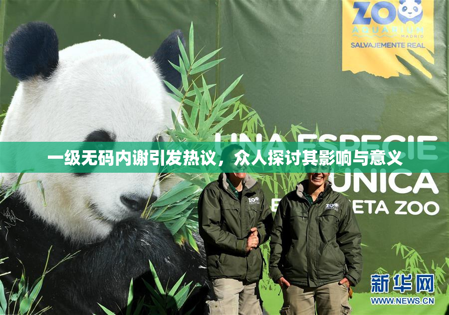 一级无码内谢引发热议，众人探讨其影响与意义