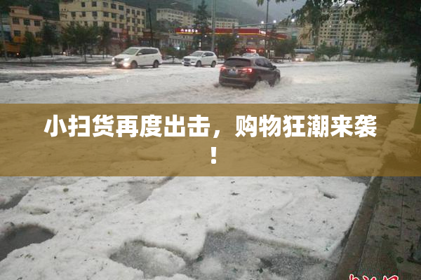 小扫货再度出击，购物狂潮来袭！