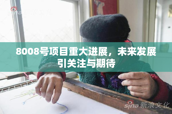 8008号项目重大进展，未来发展引关注与期待