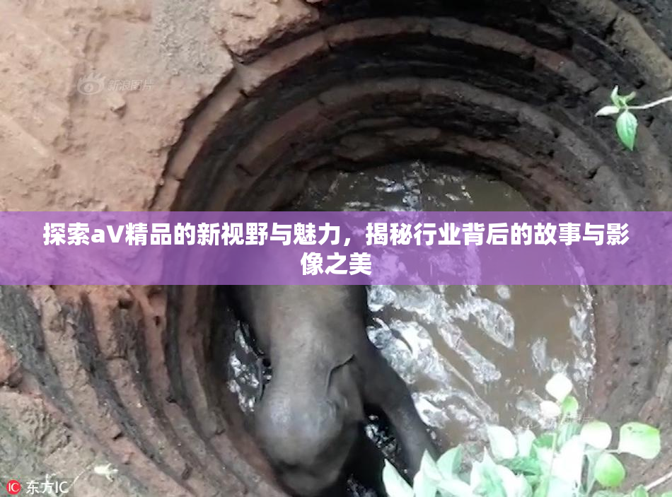 探索aV精品的新视野与魅力，揭秘行业背后的故事与影像之美