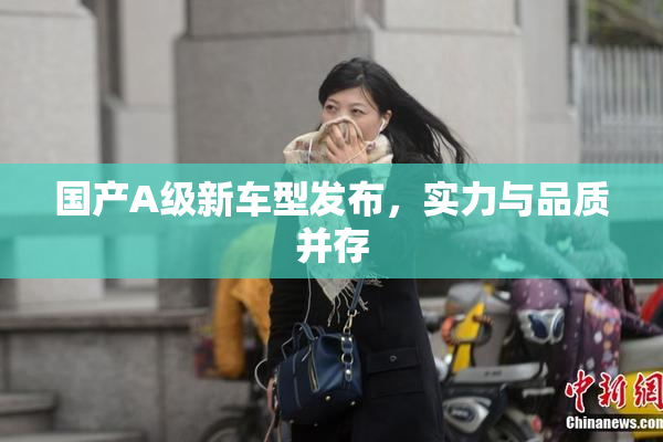 国产A级新车型发布，实力与品质并存