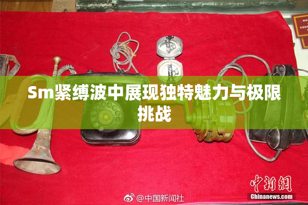 Sm紧缚波中展现独特魅力与极限挑战