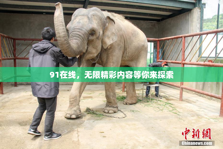 91在线，无限精彩内容等你来探索