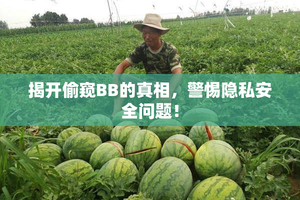 揭开偷窥BB的真相，警惕隐私安全问题！