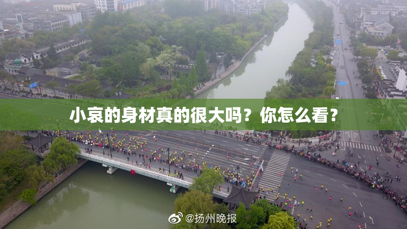 小哀的身材真的很大吗？你怎么看？