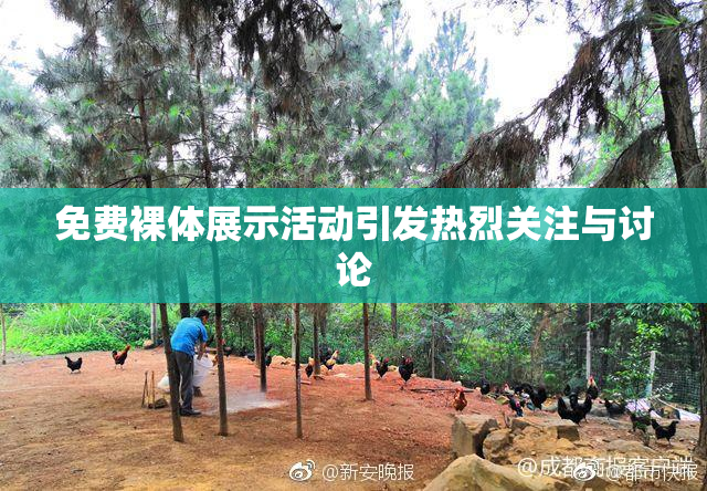免费裸体展示活动引发热烈关注与讨论
