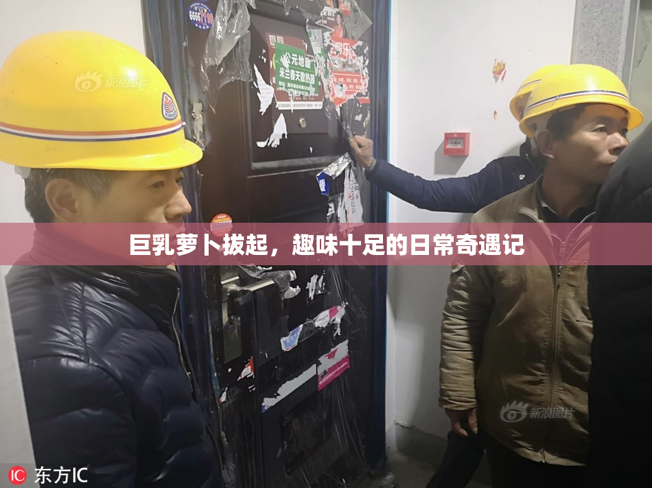 巨乳萝卜拔起，趣味十足的日常奇遇记