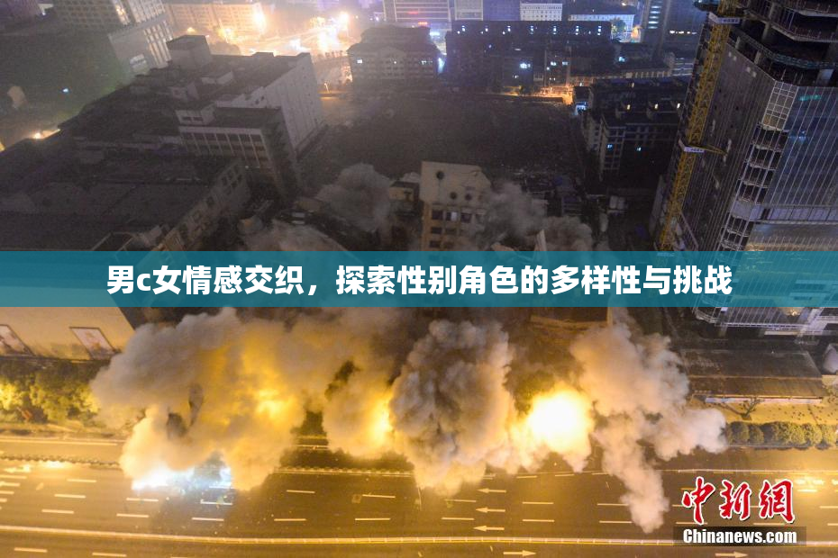 男c女情感交织，探索性别角色的多样性与挑战