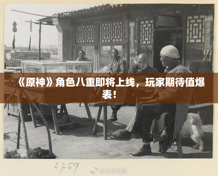 《原神》角色八重即将上线，玩家期待值爆表！