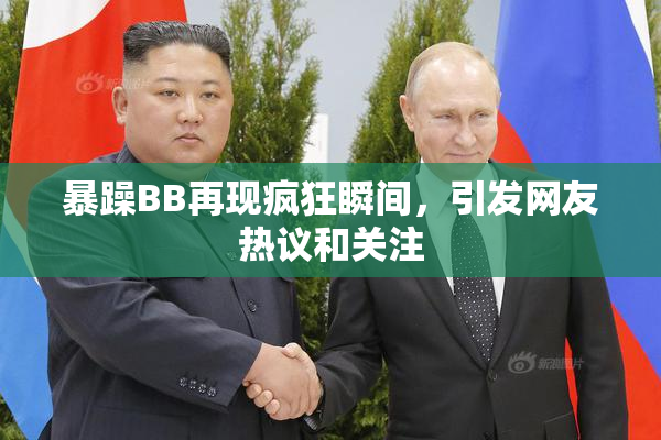 暴躁BB再现疯狂瞬间，引发网友热议和关注