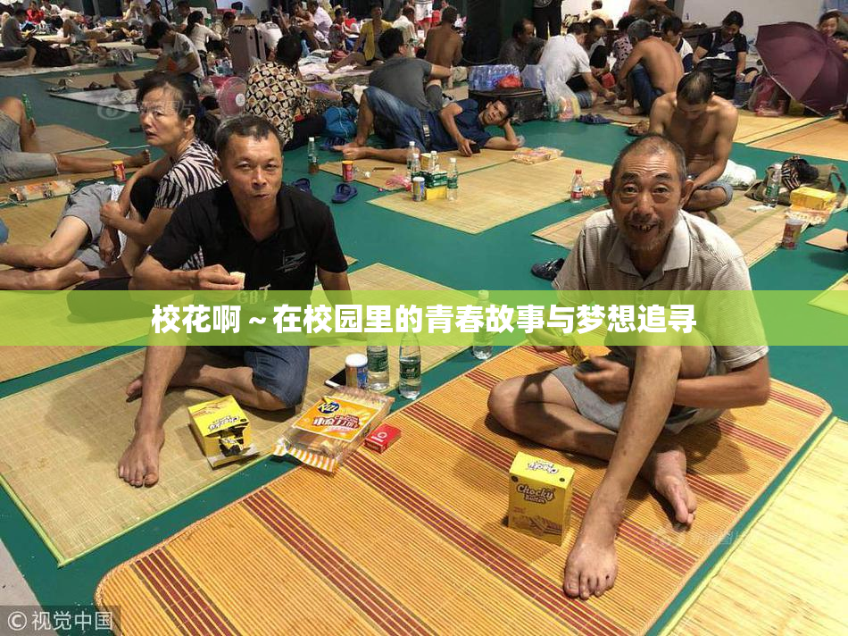 校花啊～在校园里的青春故事与梦想追寻