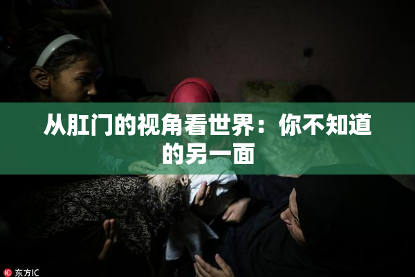 从肛门的视角看世界：你不知道的另一面